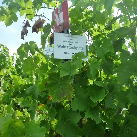 Hotell Biozertifiziertes Hoepfigheimer Hof Mit Wein-shop Steinheim an der Murr