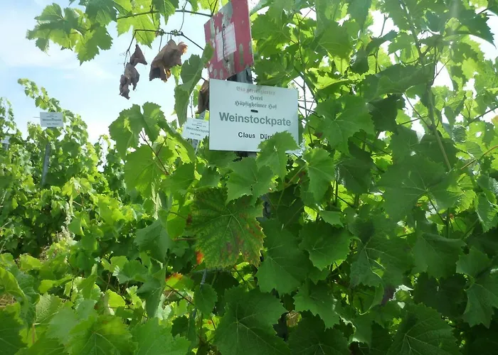 Отель Biozertifiziertes Hoepfigheimer Hof Mit Wein-shop Steinheim an der Murr